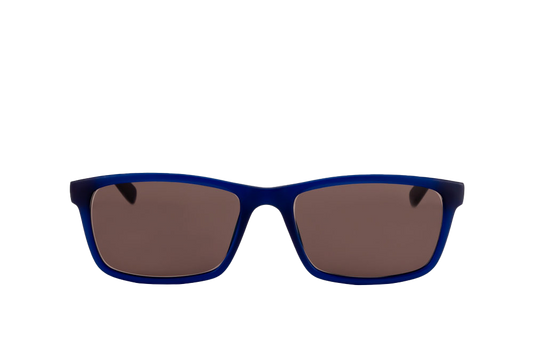 Hudson Sunglasses (Brown) Front View