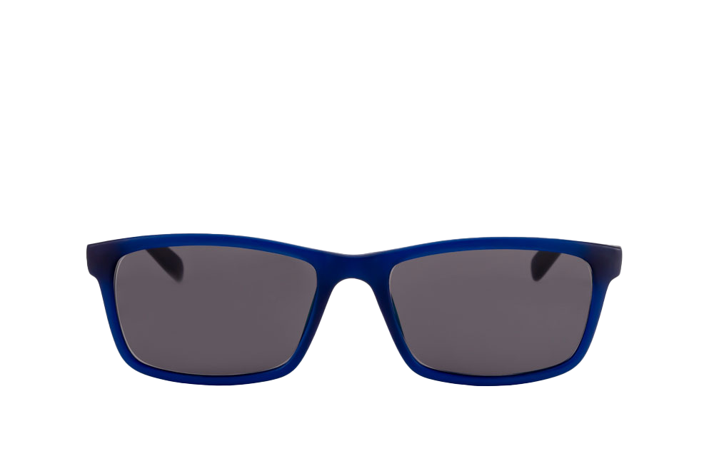 Hudson Sunglasses (Grey) Front View